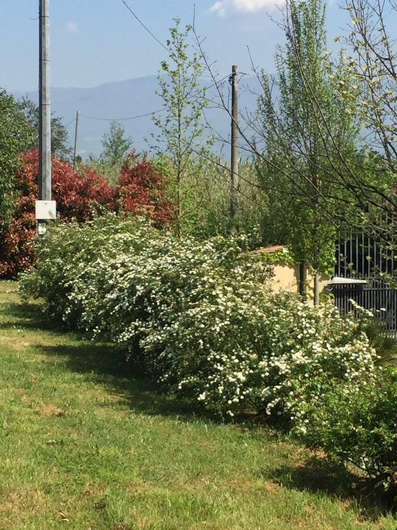 Lago Gabbiano Podere Casanova Pistoia Extérieur photo